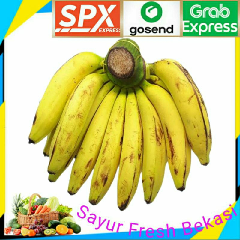 

Pisang Ambon Besar 1 sisir.