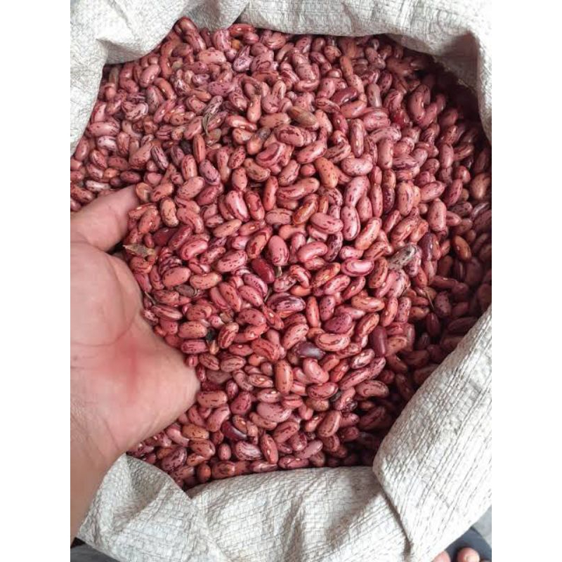 

Kacang Merah 250gr