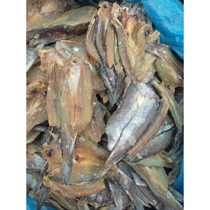 

Ikan gabus 250gram