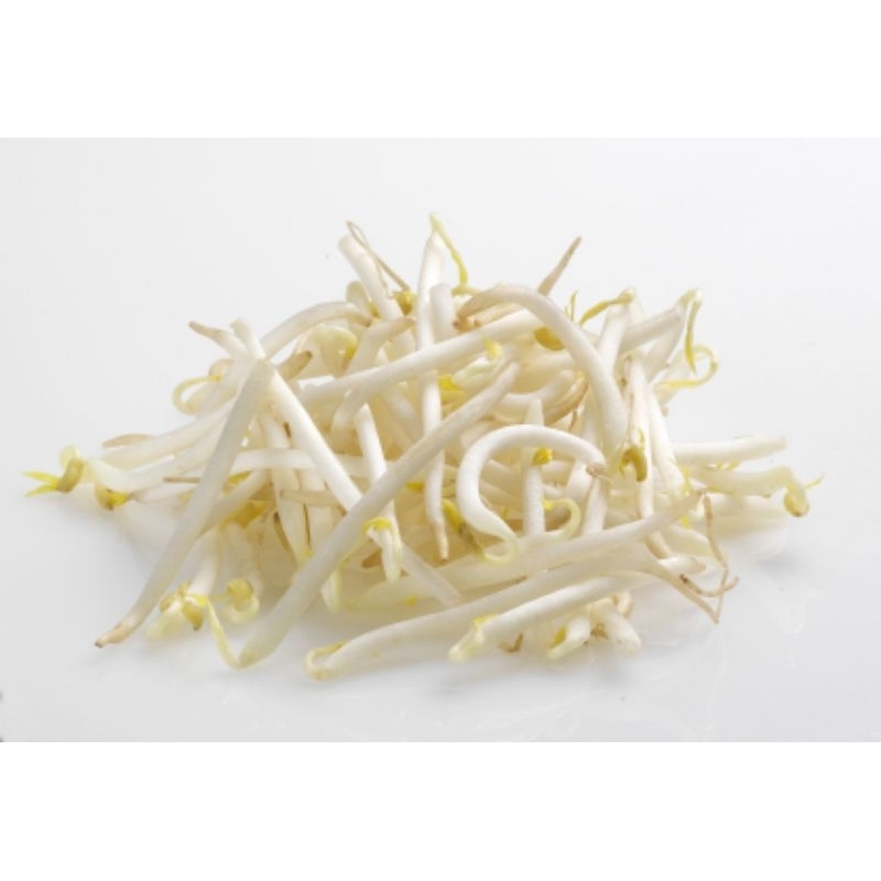 

touge panjang / toge panjang / kecambah per pack