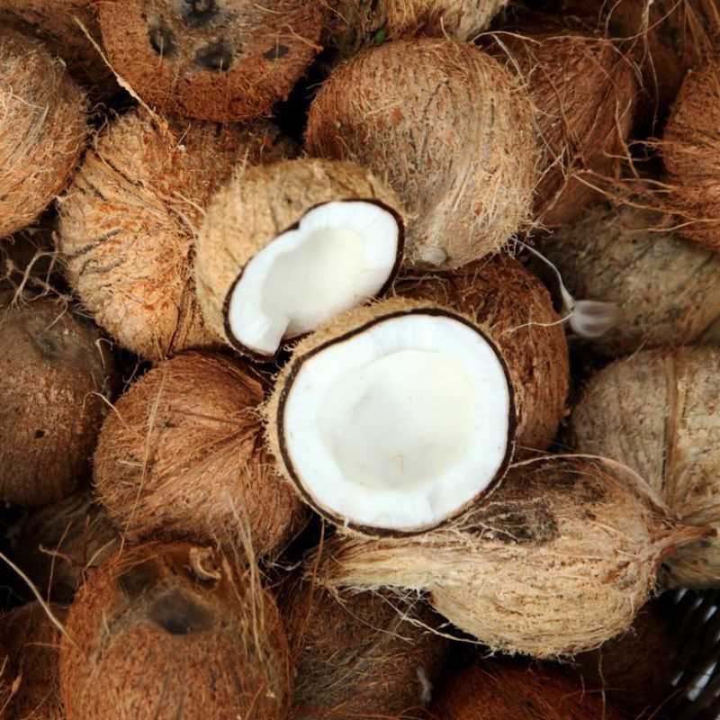 

Kelapa tua untuk santan Grade BC ( rata² 8 Ons)