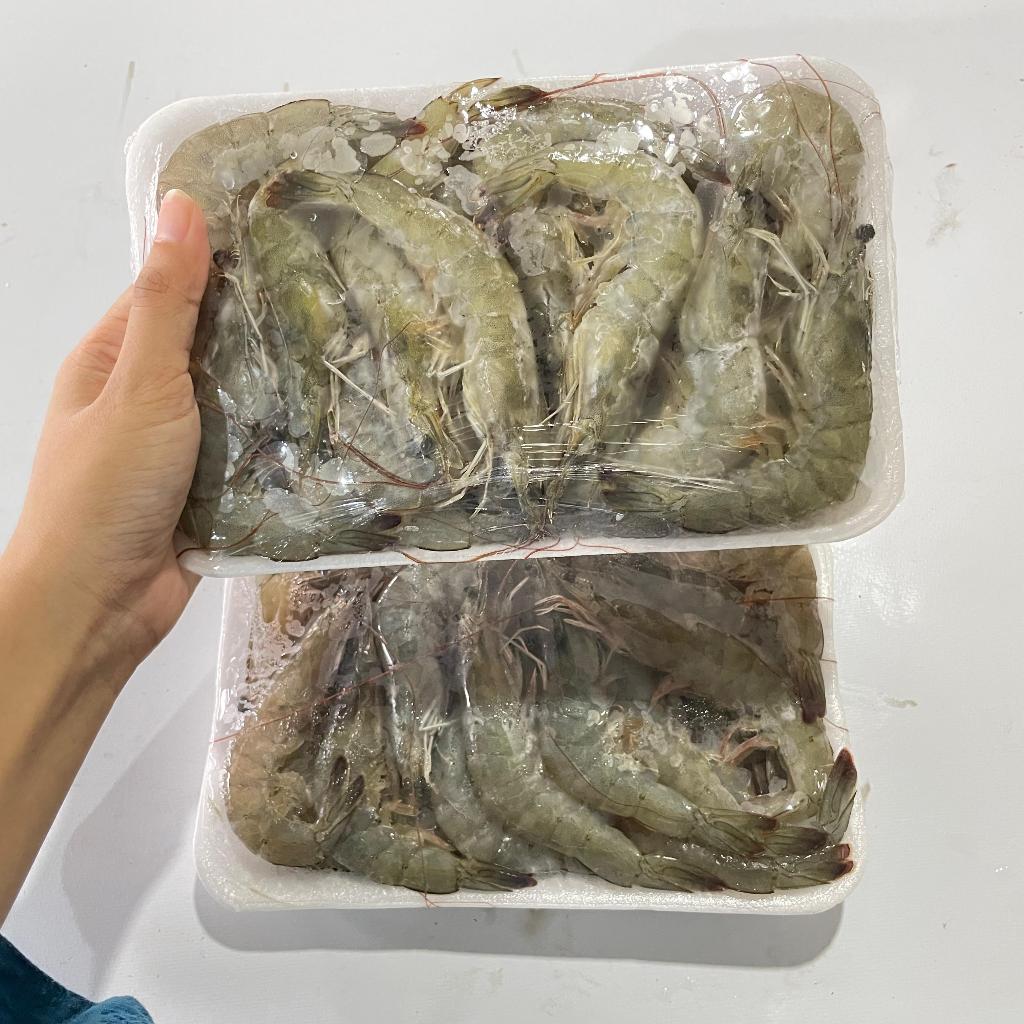 

Udang Segar Fresh Beku Frozen