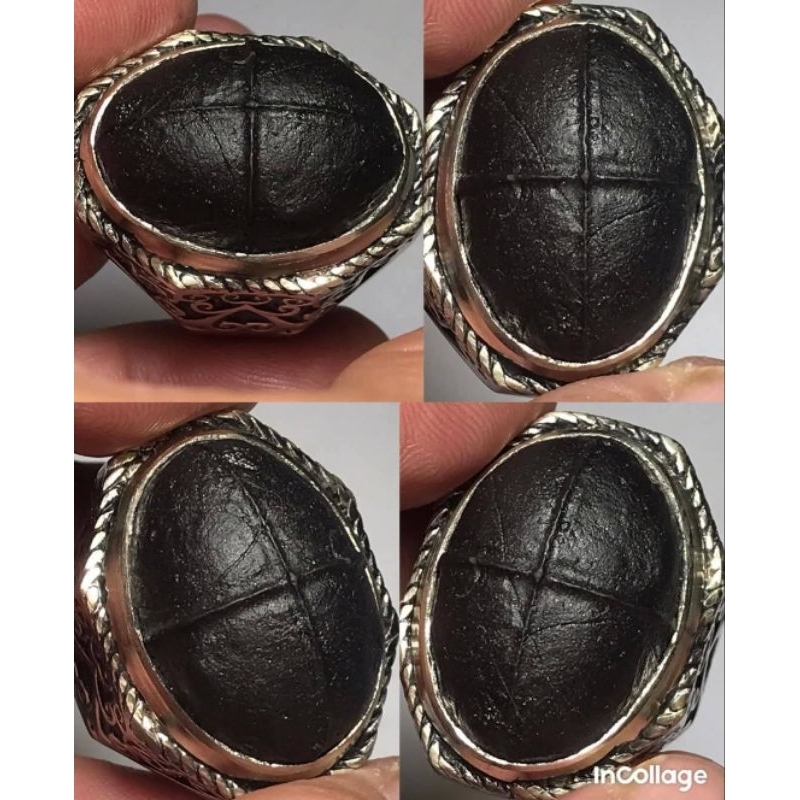 BADAR TAPAK JALAK HITAM NGERIKIL