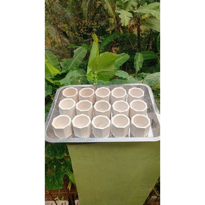 POT SEKULEN/POT KAKTUS/POT SEMEN/SOUVENIR