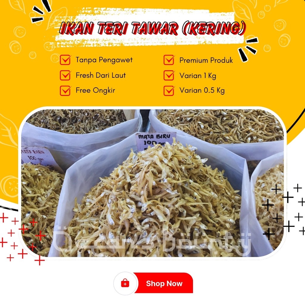 

Ikan Asin Laut Premium Seafood Ikan Teri Kering Tawar 0,25 kg - 1 kg Anchovy