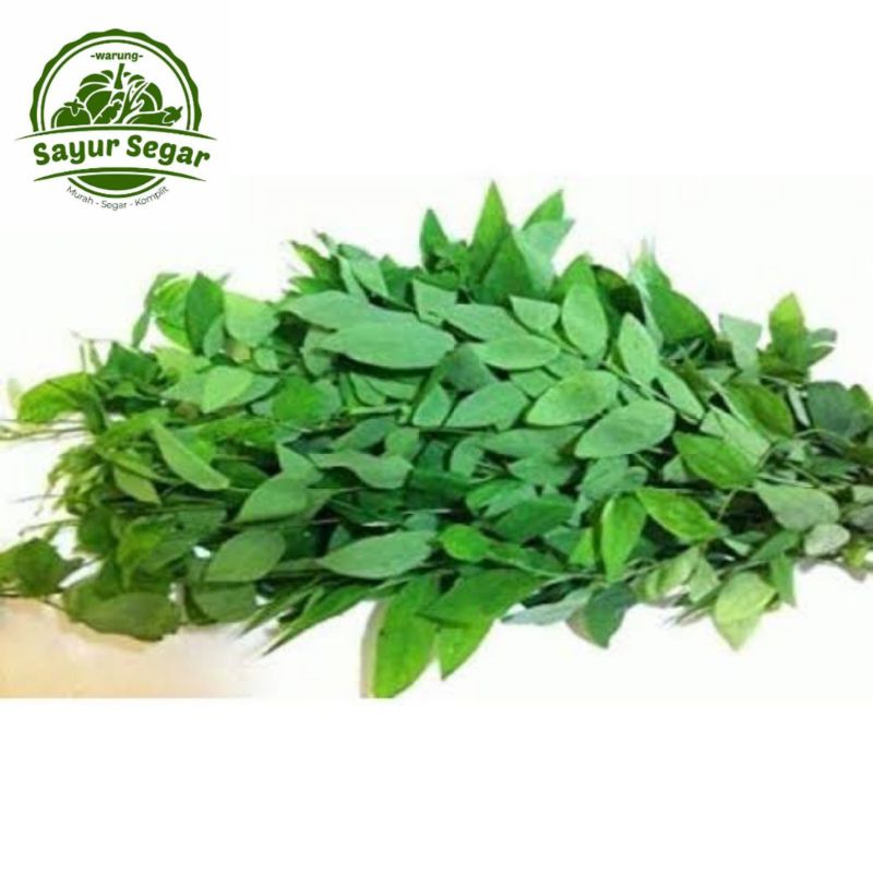 

Daun Katuk / Daun Katuk Segar - Per 1 Ikat