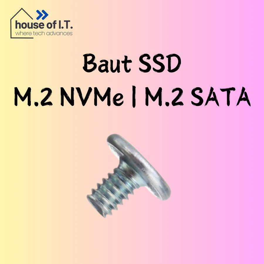 Baut SSD M2 NVMe - Baut SSD M2 SATA - Skrup SSD - Sekrup SSD