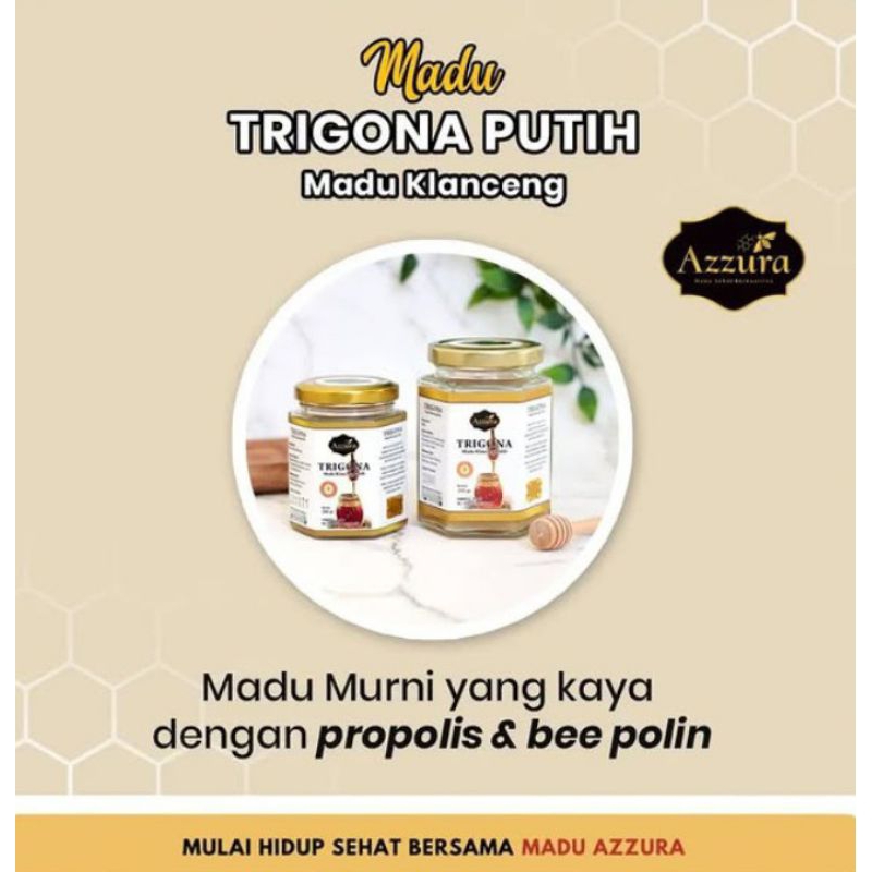 

Madu azzura trigona Madu klanceng Putih
