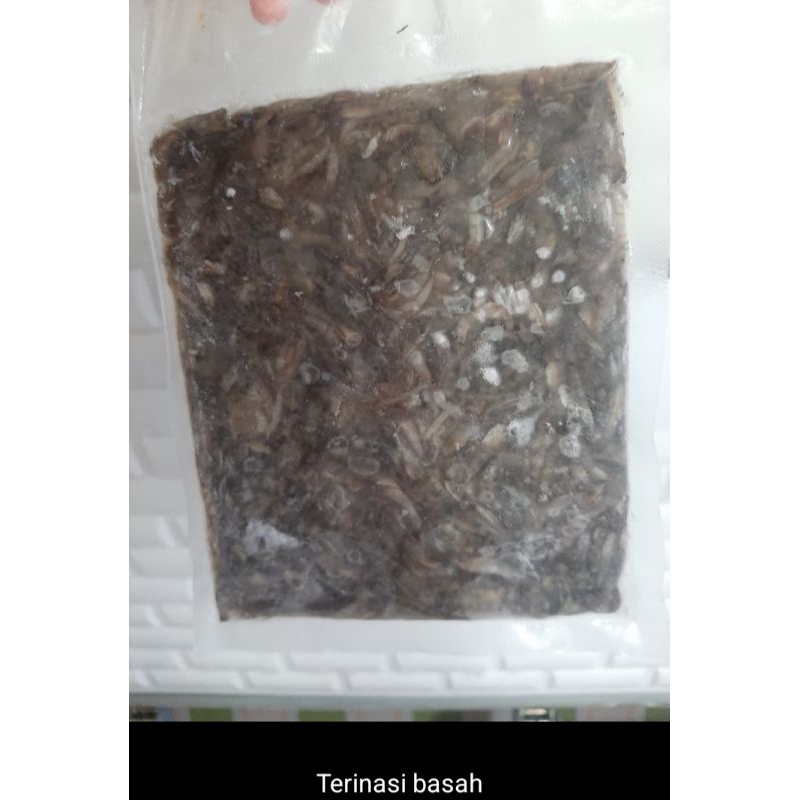 

terinasi basah-250gr