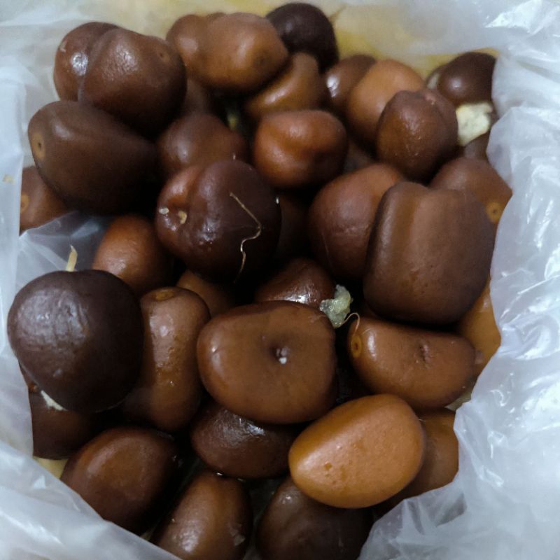 

Biji salak pondoh 250gr