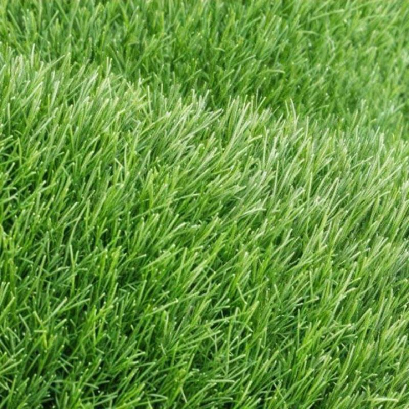 paket Rumput Sintetis 1x2meter/ rumput taman 2meter