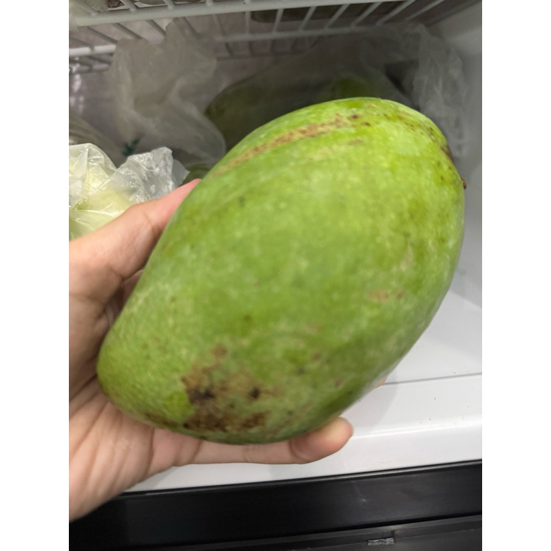 

Mangga Muda/Mangga Pencit