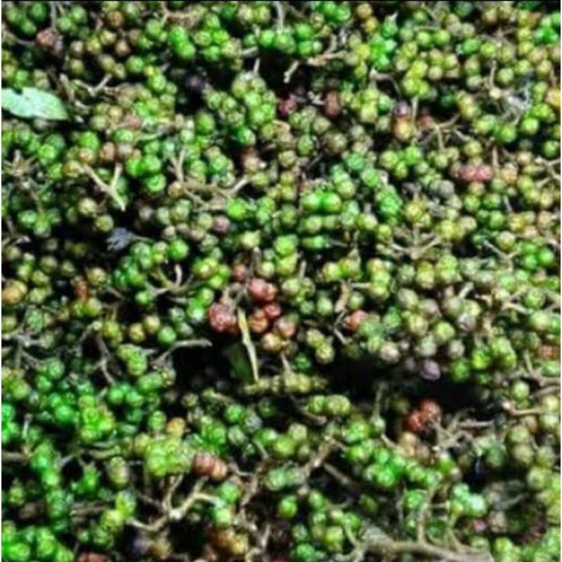 

Andaliman toba 20K/ 100 Gr