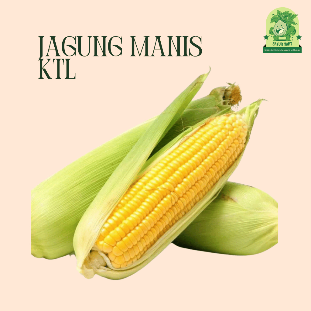 

Jagung Manis KTL 1 Kilogram