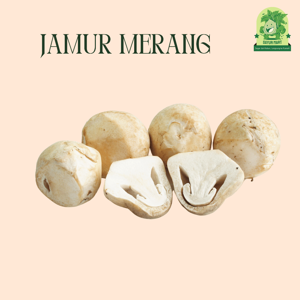 

Jamur Merang 100 Gram