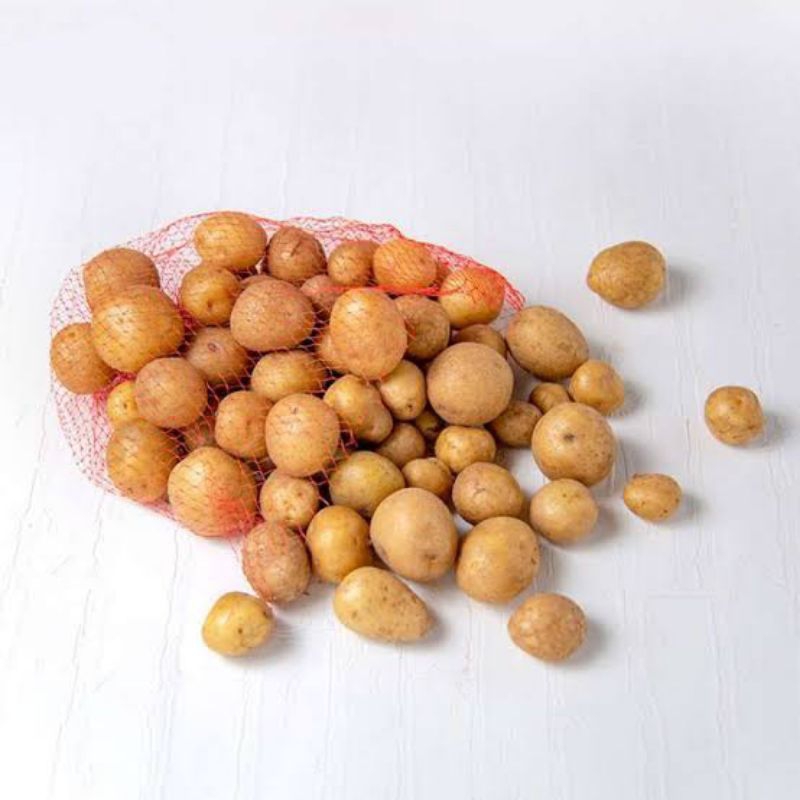 

Kentang BC (ukuran sedang dan kecil)