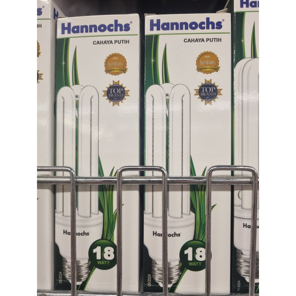 Hannochs LHE bohlam bola lampu 18 watt