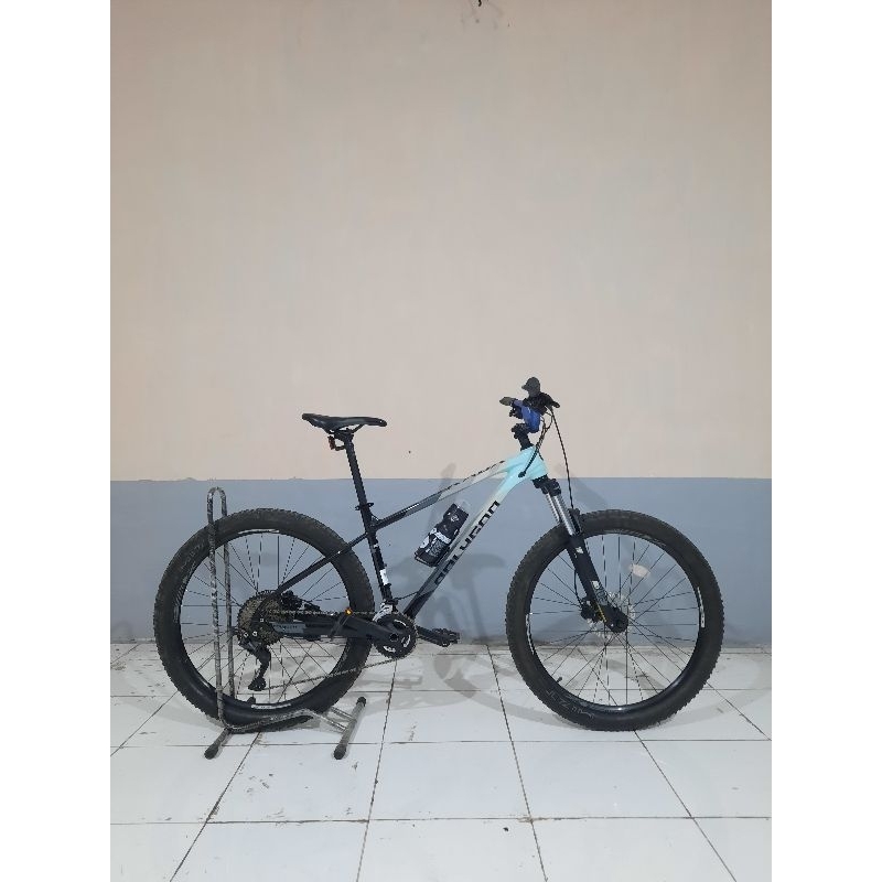 POLYGON XTRADA 5 TAHUN 2022