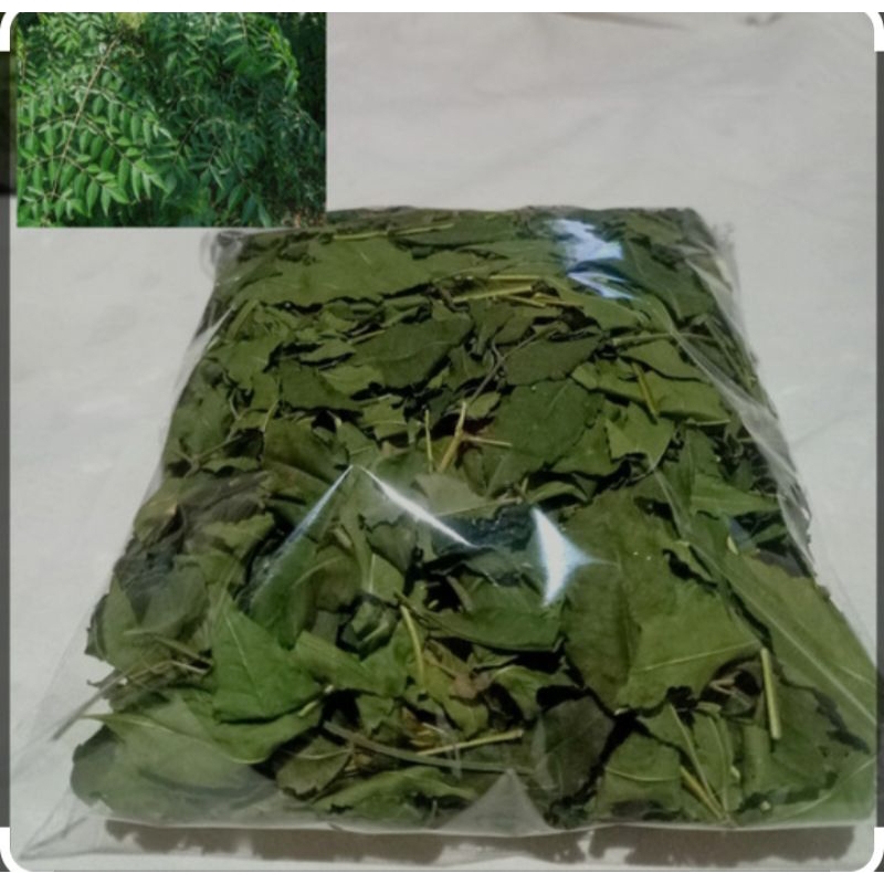 

Daun Mindi kering 500 grm
