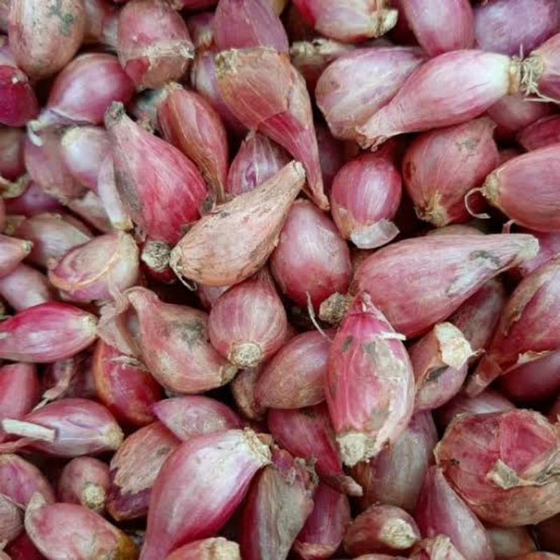 

bawang merah lokal kering 1kg