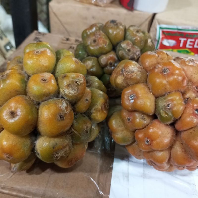 

asam cikala kas medan 1kg