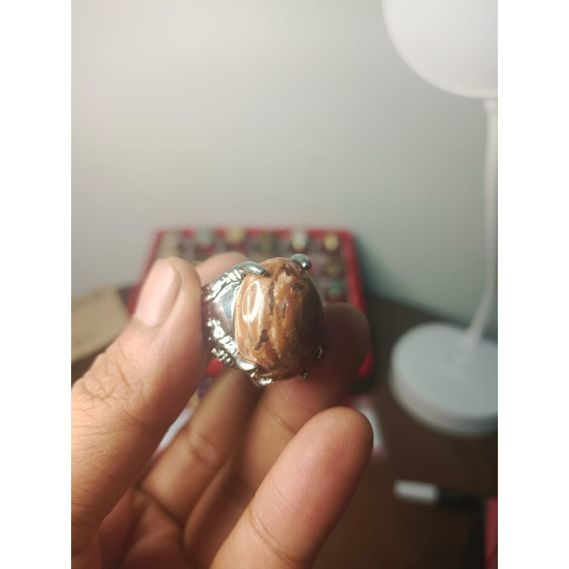 Batu Fosil Kelor Merah