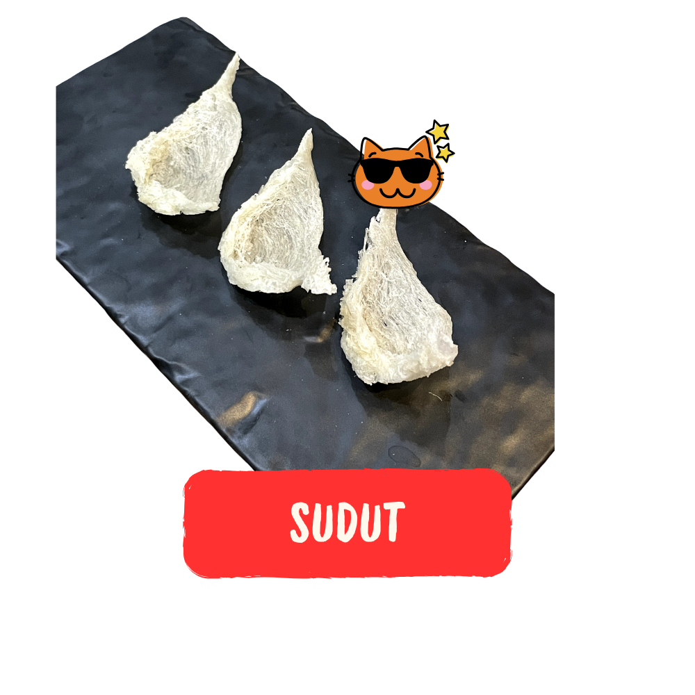 

Sarang Burung Walet / Bird Nest / Yan Wo / Yen Wo / 燕窝 - Sudut