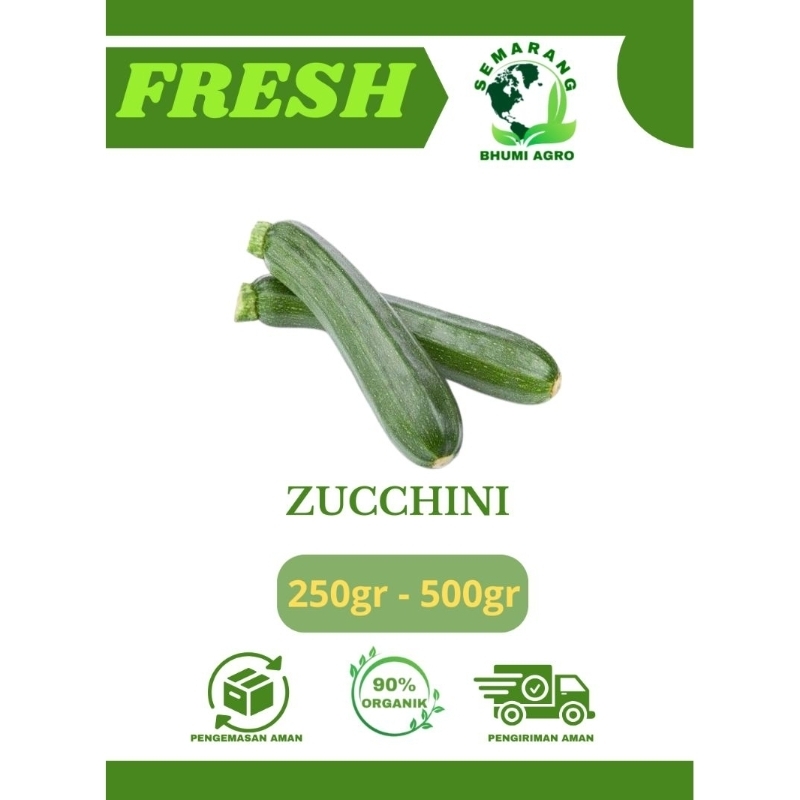 

Zucchini/ Zukini/ Zuchini/ Sukini | BHUMI AGRO