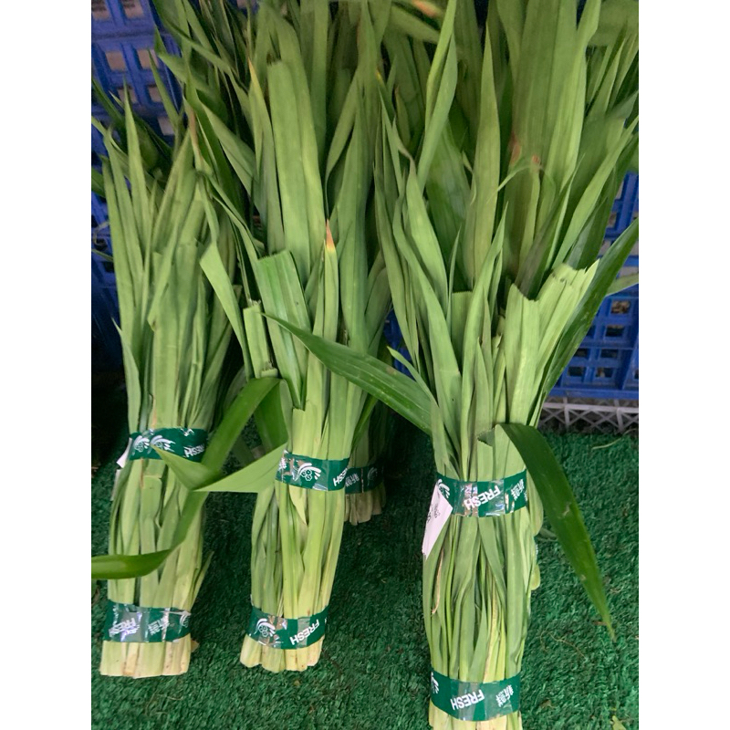 

Daun Pandan Segar 1 ikat