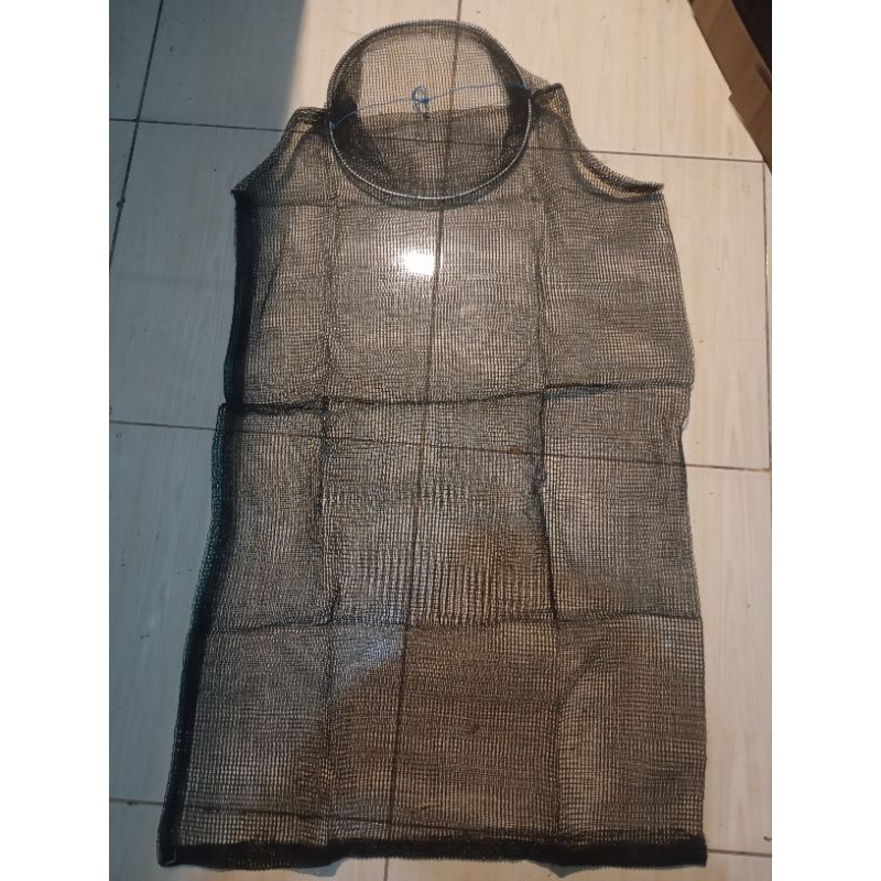 koja ikan korang ikan