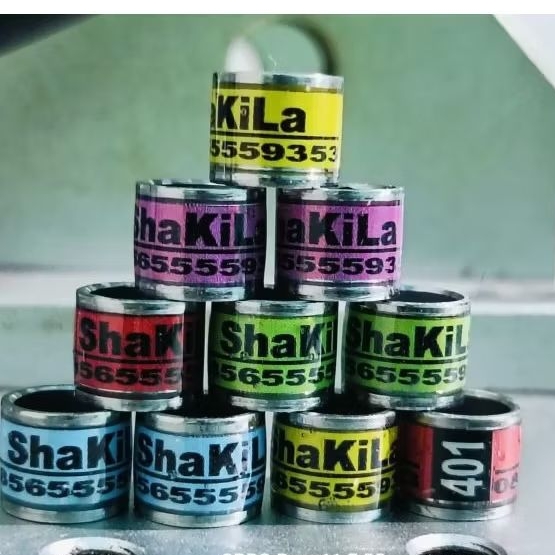 Ring merpati roda baja stiker