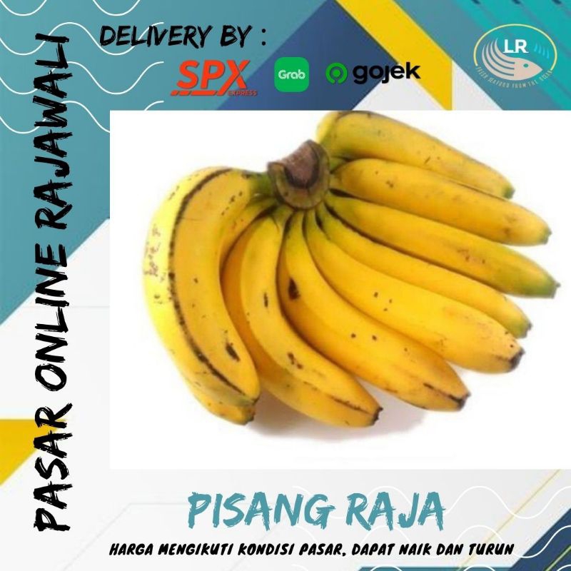 

Pisang raja