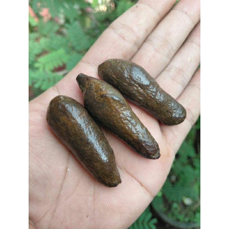 batu planangan temuan alam asli batu