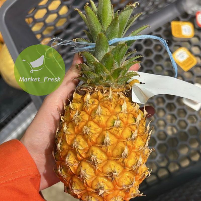 

Nanas Madu Pemalang Asli 100 % Nanas Madu Manis Enak Per Biji