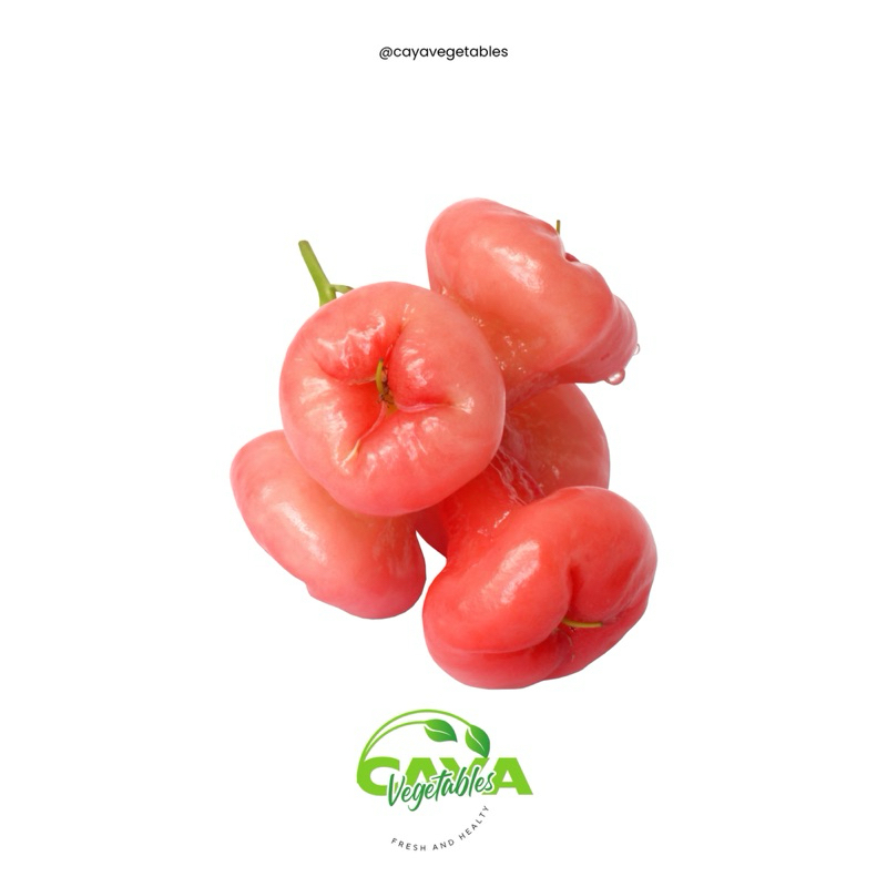 

JAMBU AIR Rujak Fresh 1Kg | CayaVegetables