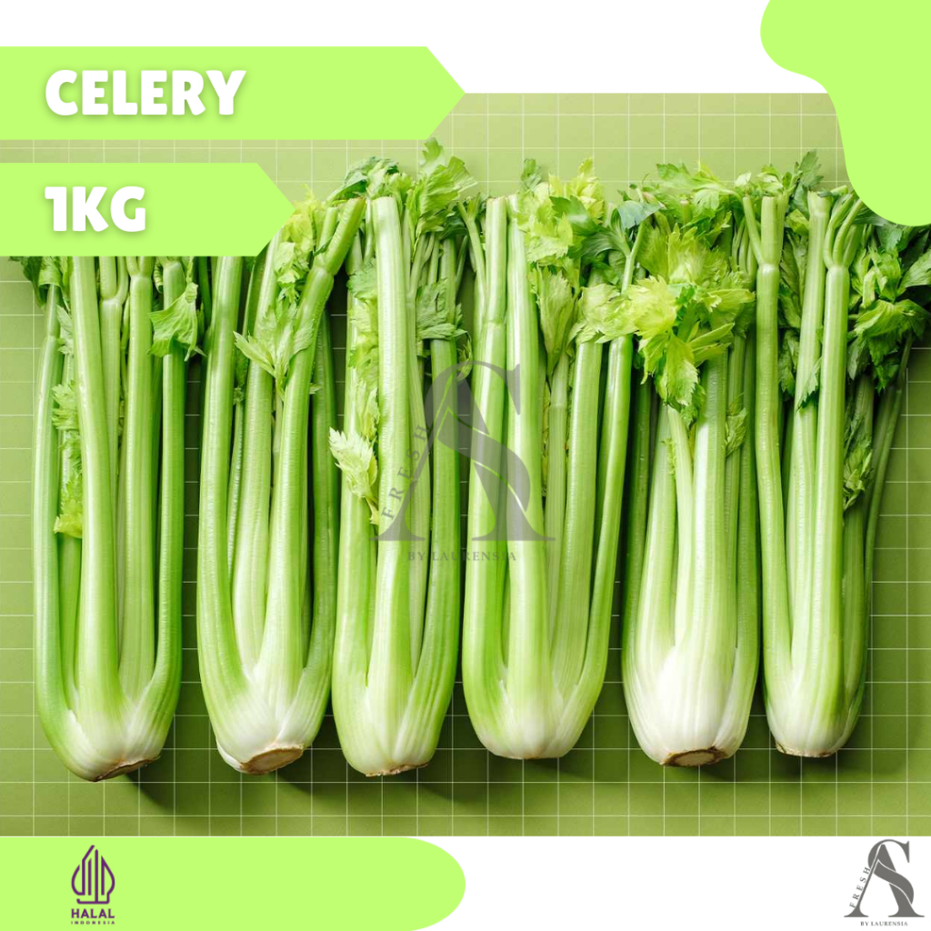 

AS FRESH Celery Import 1kg - kirim instan / same day