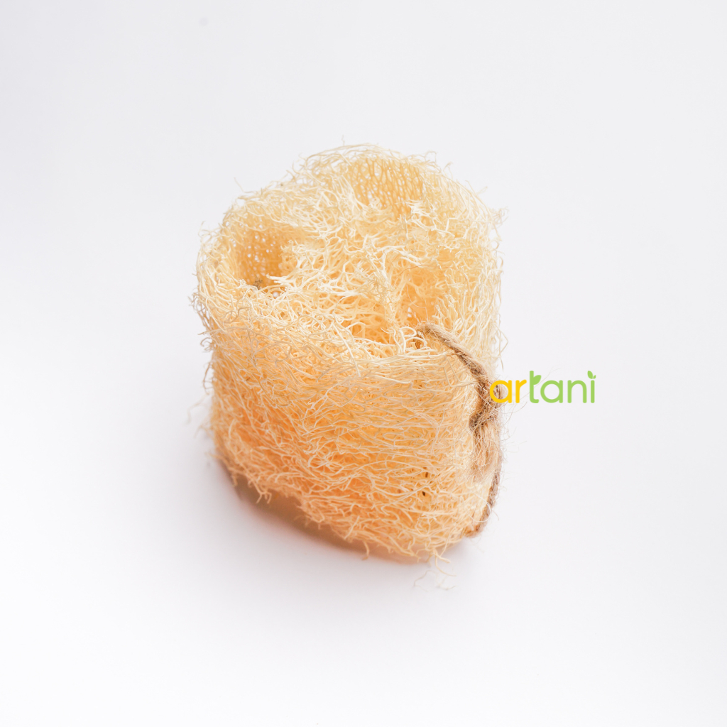 Loofah / Gambas / Oyong Kering Organik / Spons Cuci Alami / Spons Mandi / Natural Sponge