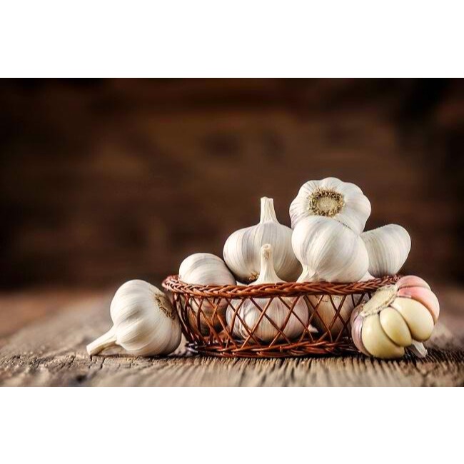 

Bawang putih Sinco/Honan besar 250gr Murah