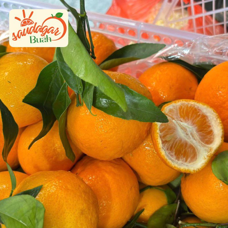 

RB Buah Jeruk Santang Wokara Santang Wo Chi Manis Seger Juicy 1Kg