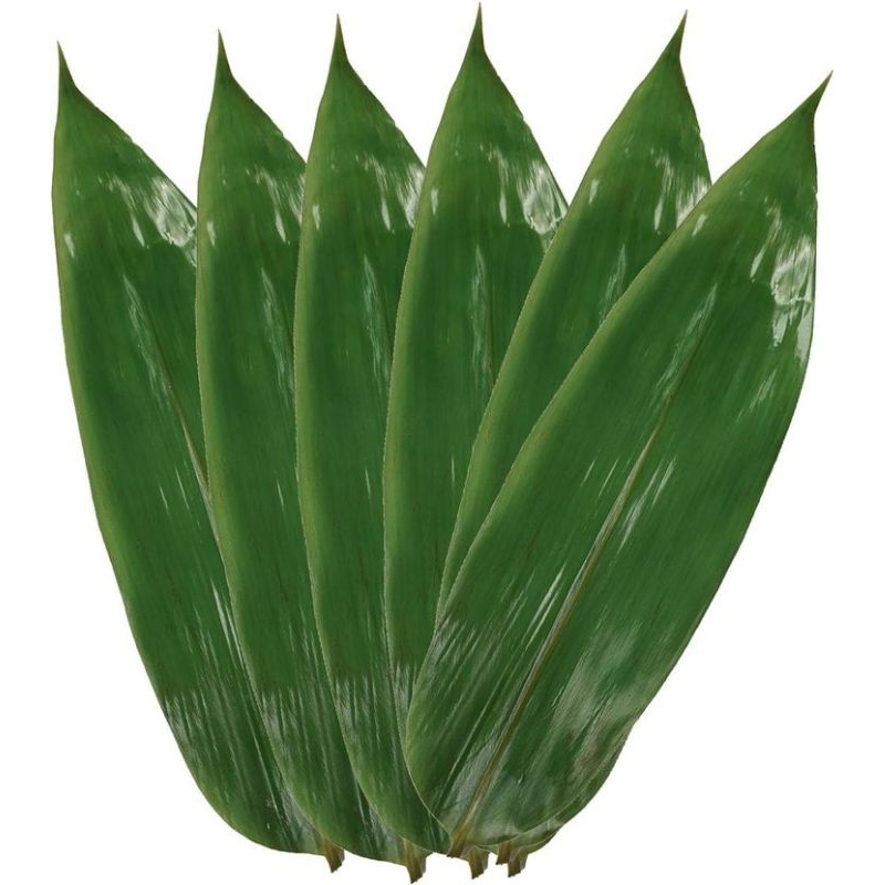 

Daun bambu fresh buat bungkus bacang per 50 lembar