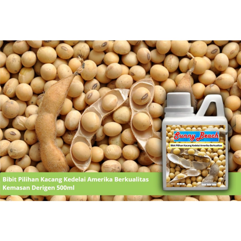 Bibit Pilihan Kedelai Amerika Berkuaitas Kemasan Derigent | Benih Kedelai