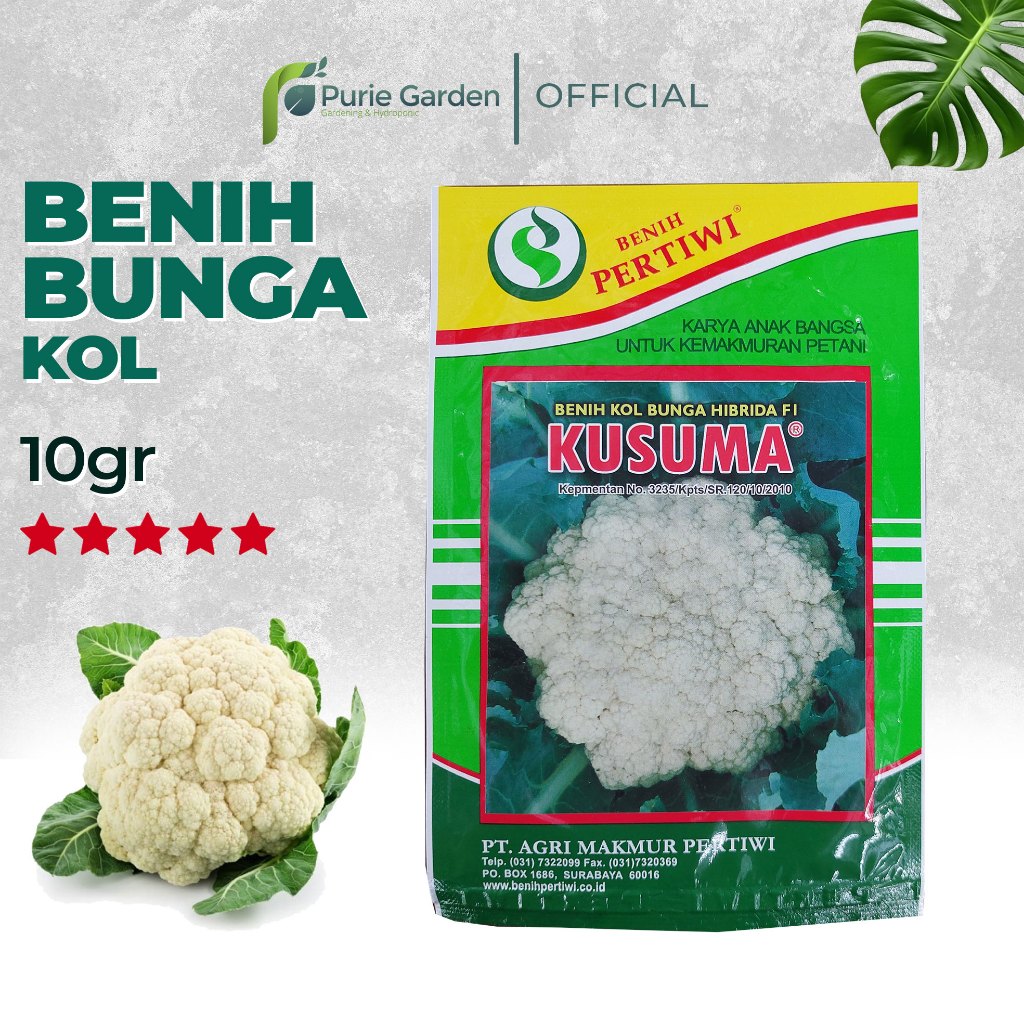Benih Biji Bunga Kol Kusuma Kemasan Asli Pabrik 10gr