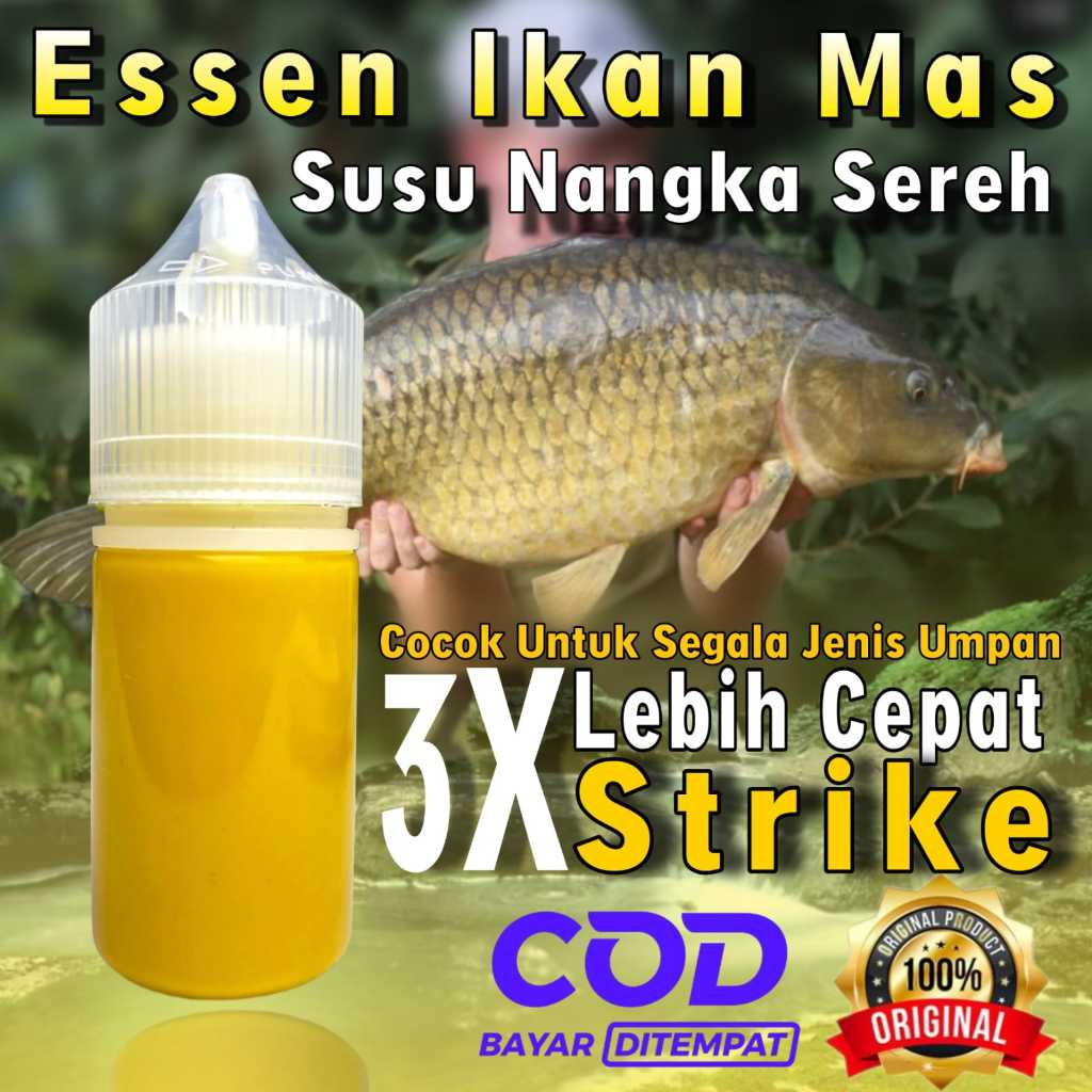 Essen Ikan Mas Spesialis Lomba Harian KiloGebrus Ikan Rame Paling Gacor, Esen Raja Podium Ikan Mas P