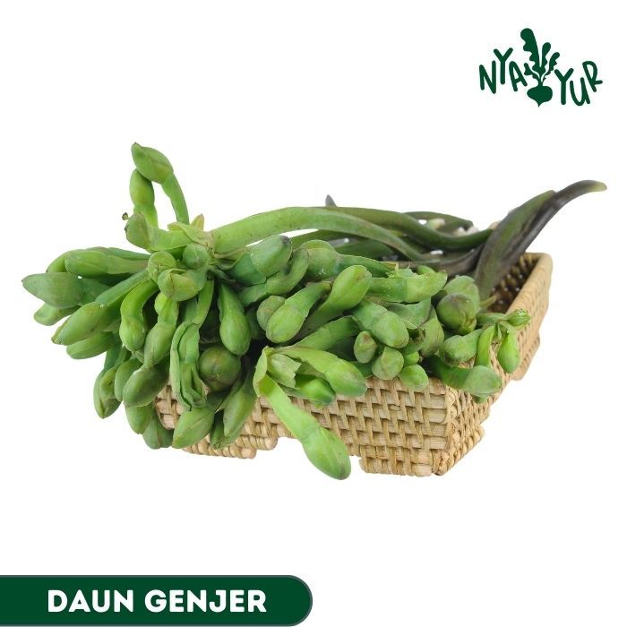

INSTAN - Daun genjer segar per ikat