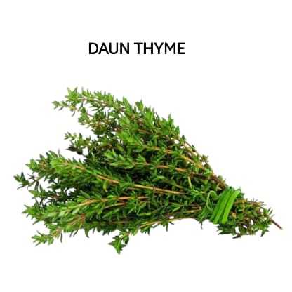 

Daun Thyme Fresh Segar Organik