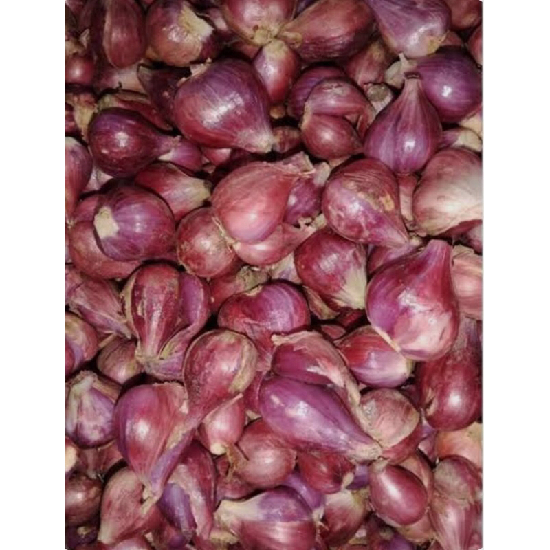 

Bawang merah brebes