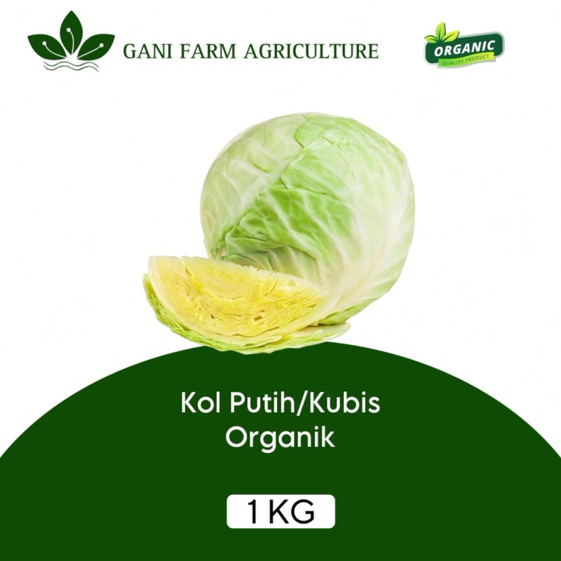

Kol Putih Organik 1 kg sayur kubis