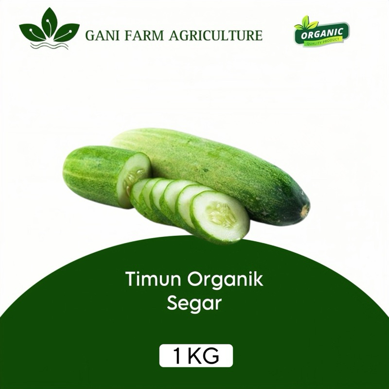 

timun Organik segar 1 kg timun lalapan baby mentimun