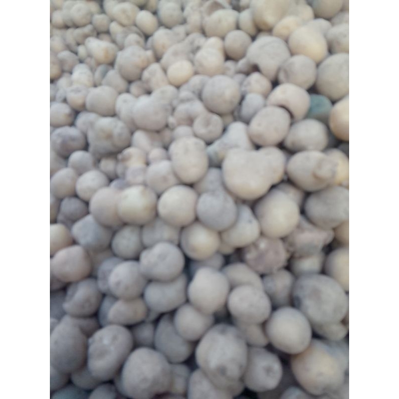 

Kentang,sayur, mini,