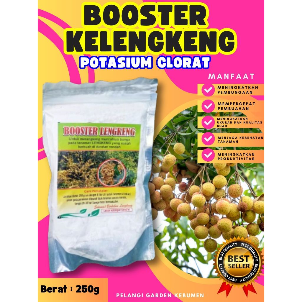 DIJAMIN ASLI  Booster Kelengkeng Kcl03, Booster Kelengkeng Kclo 3 Murni, Booster Kelengkeng Kclo 3